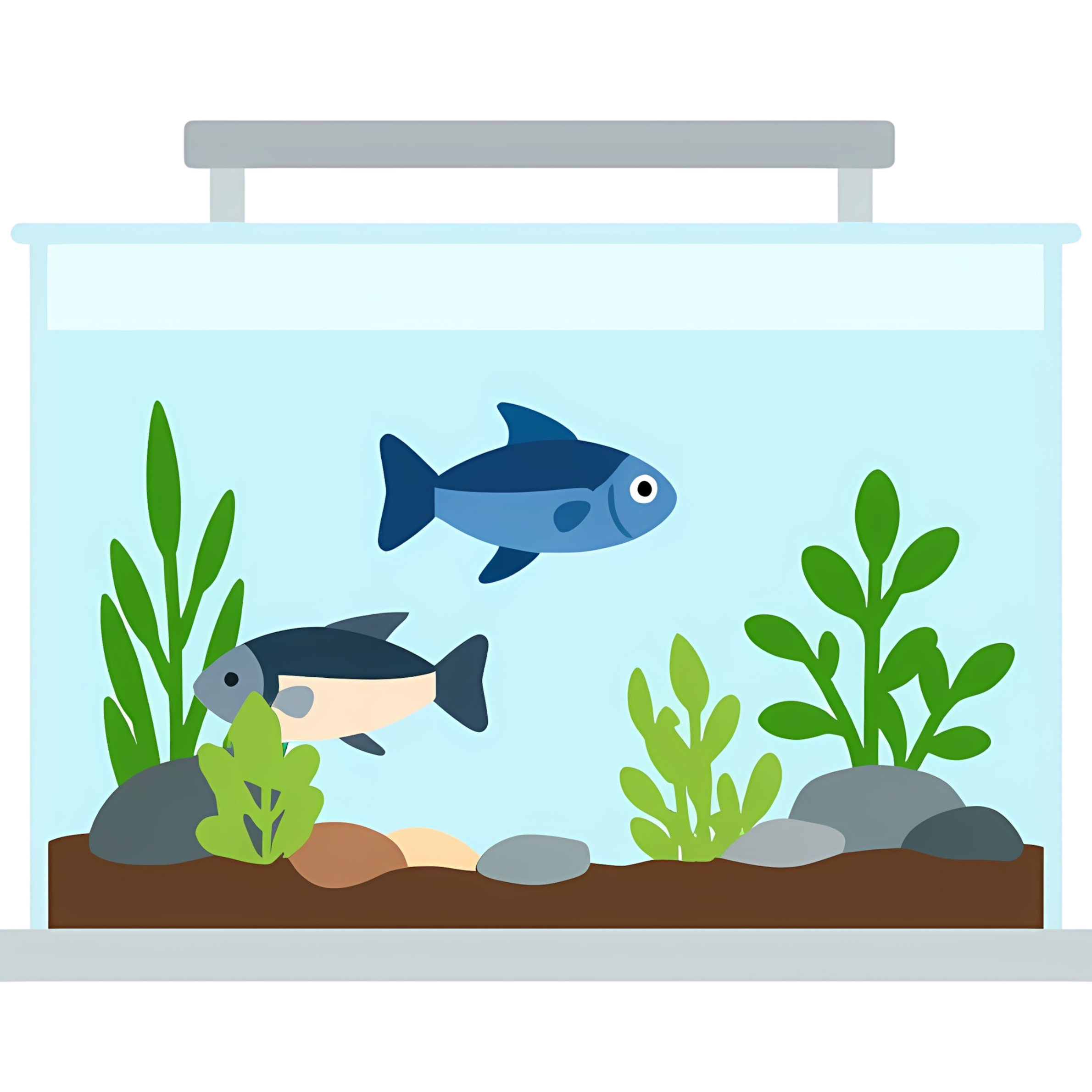 aquarium