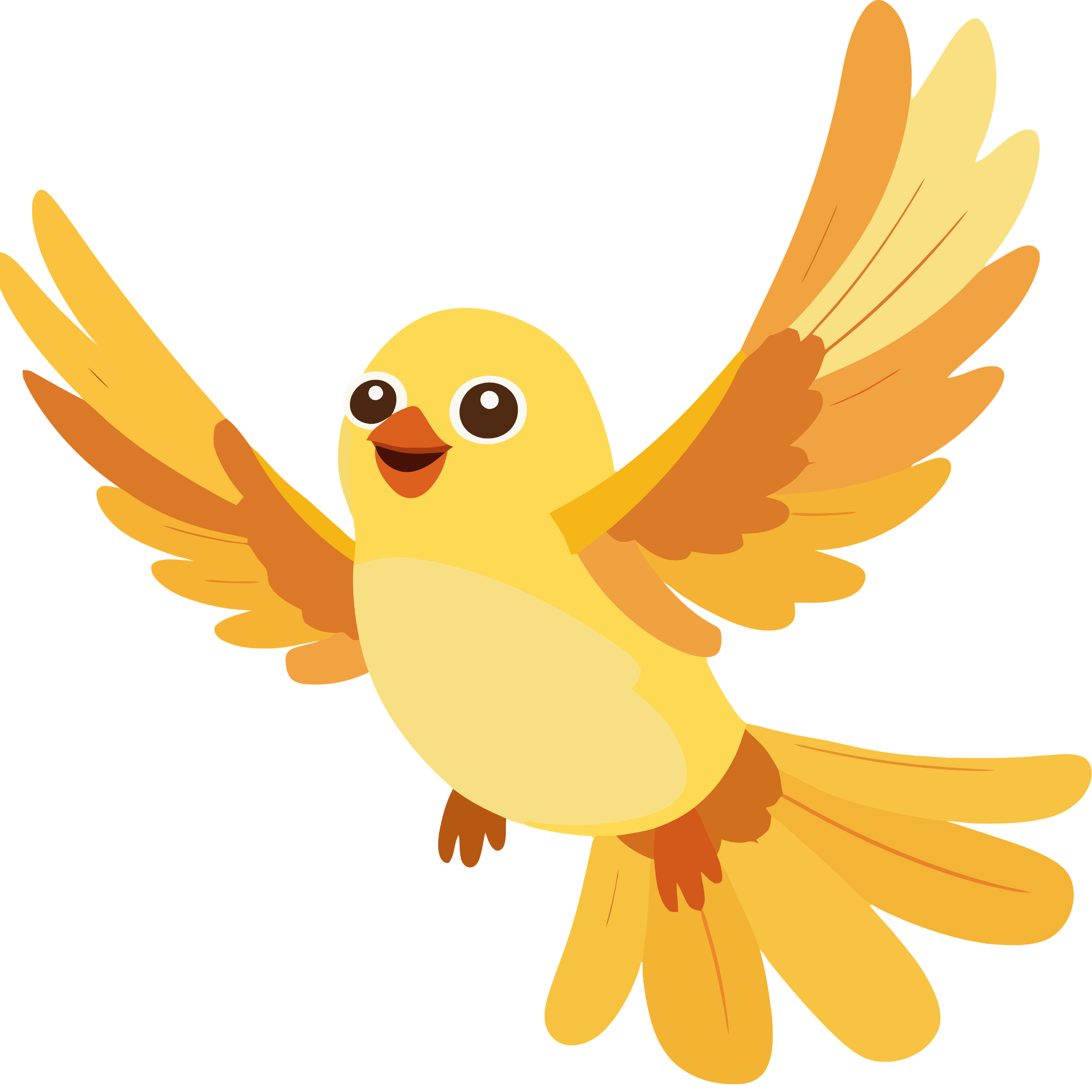 bird