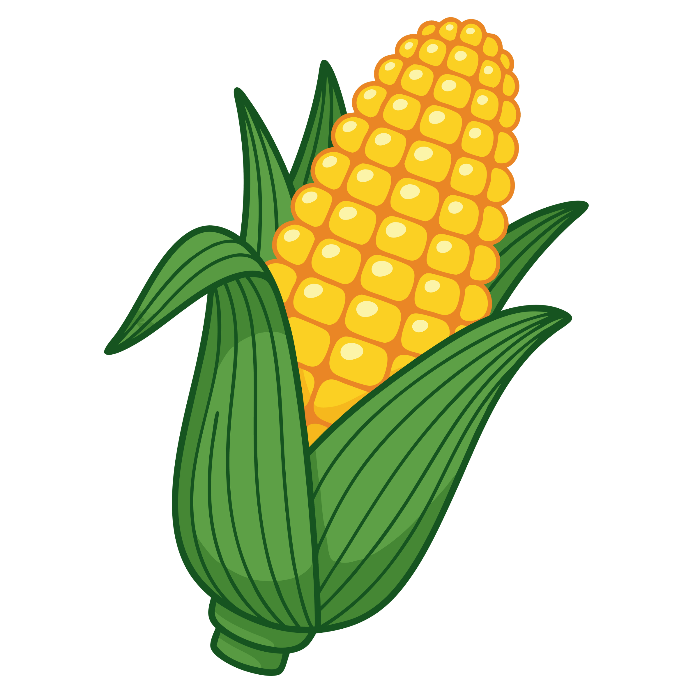 corn