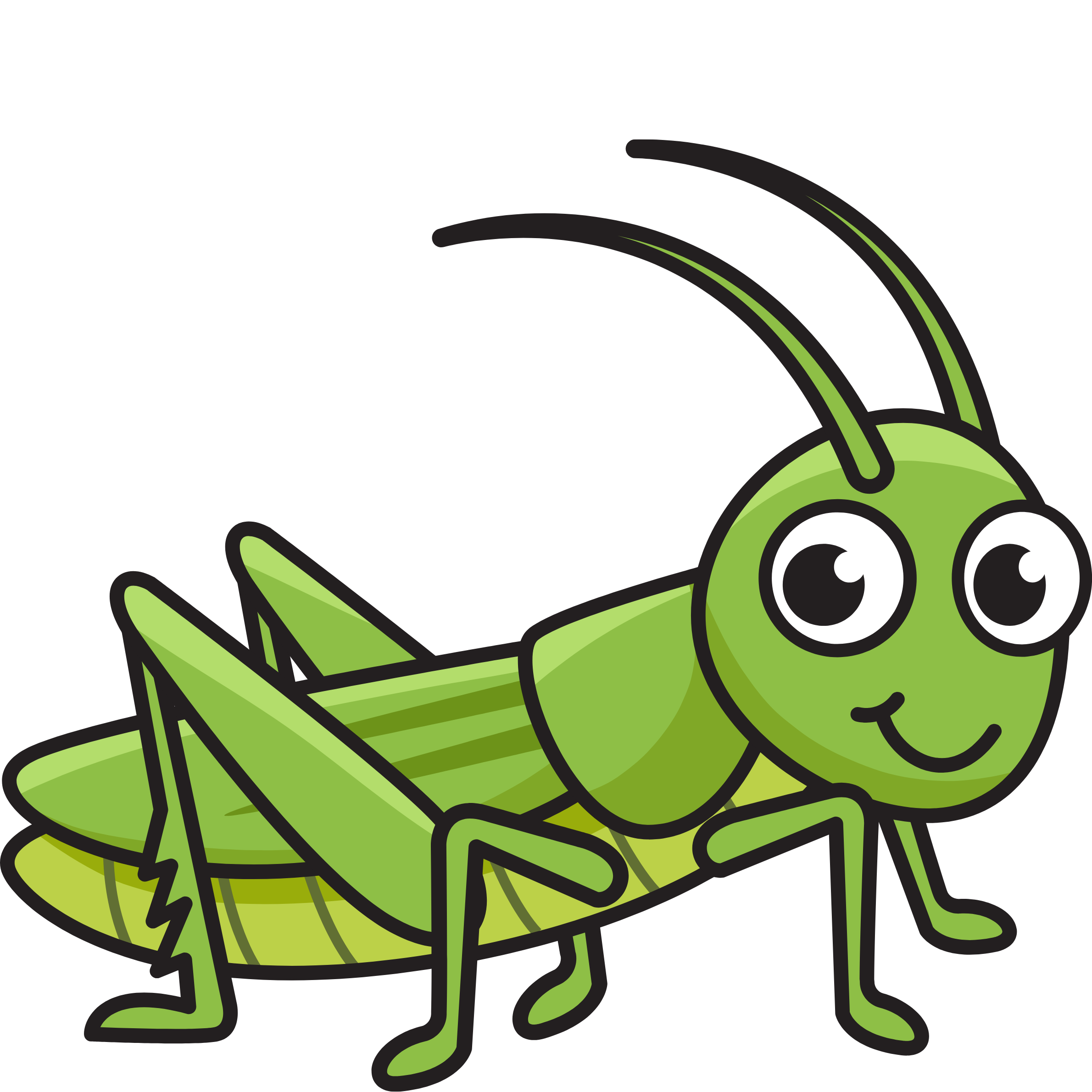 grasshopper