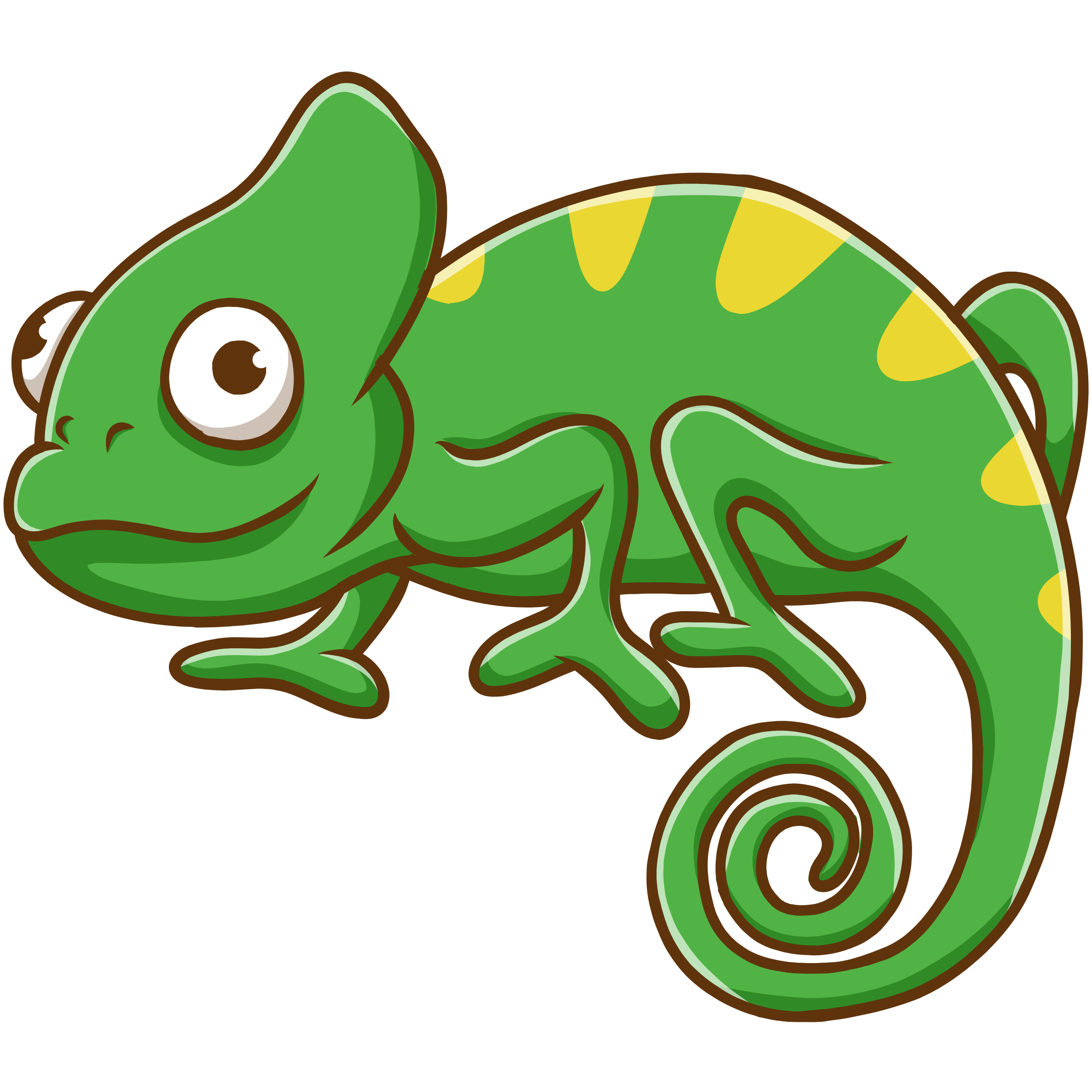 iguana