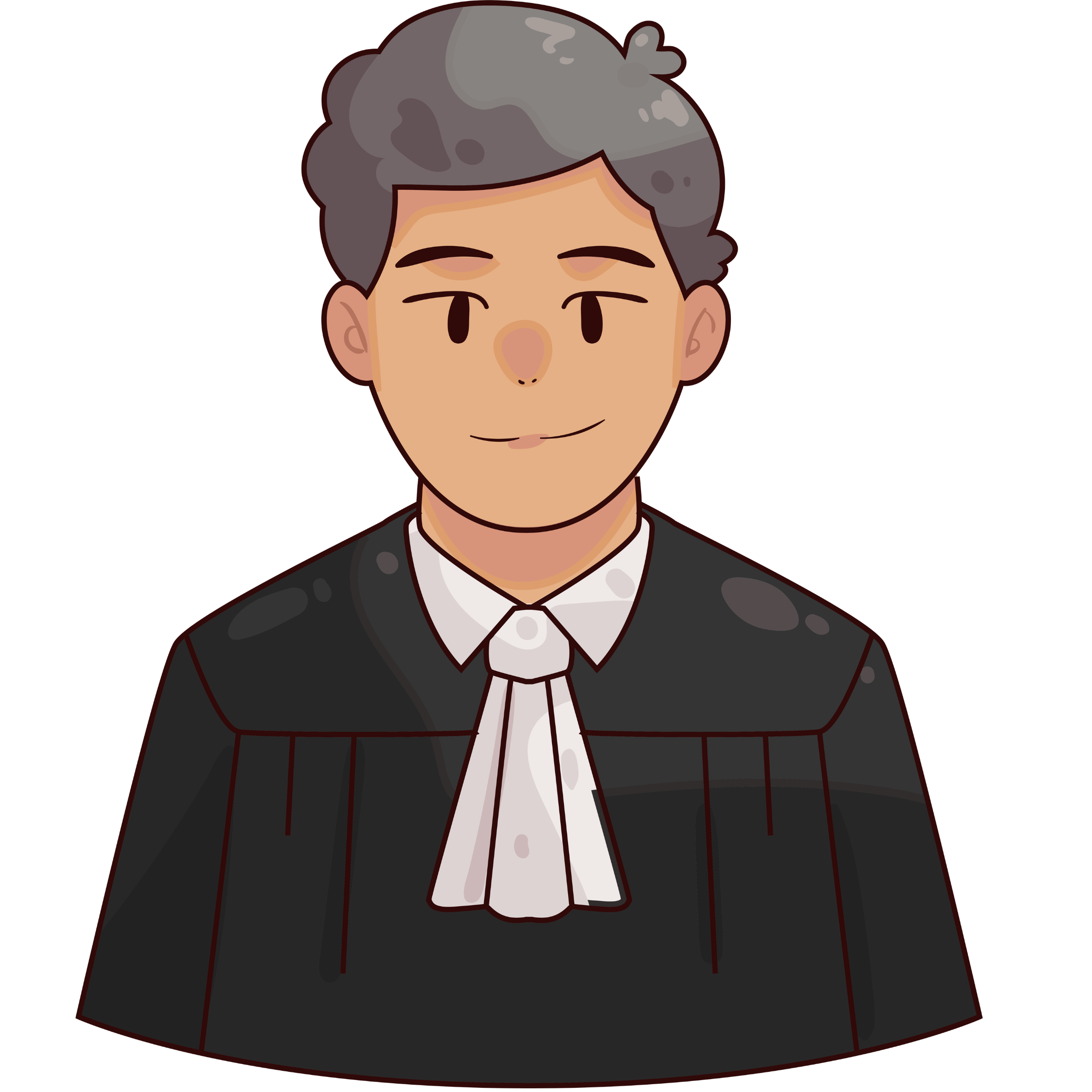 lawyer