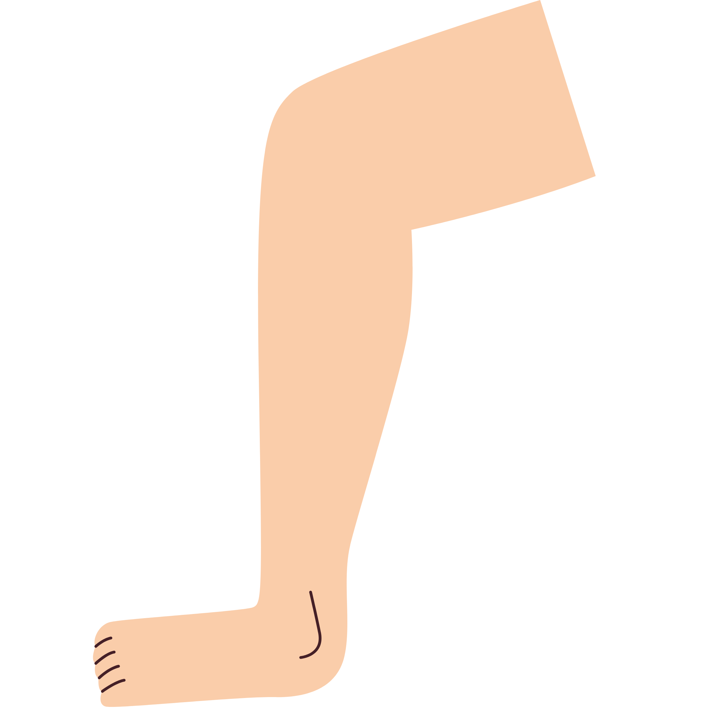 leg