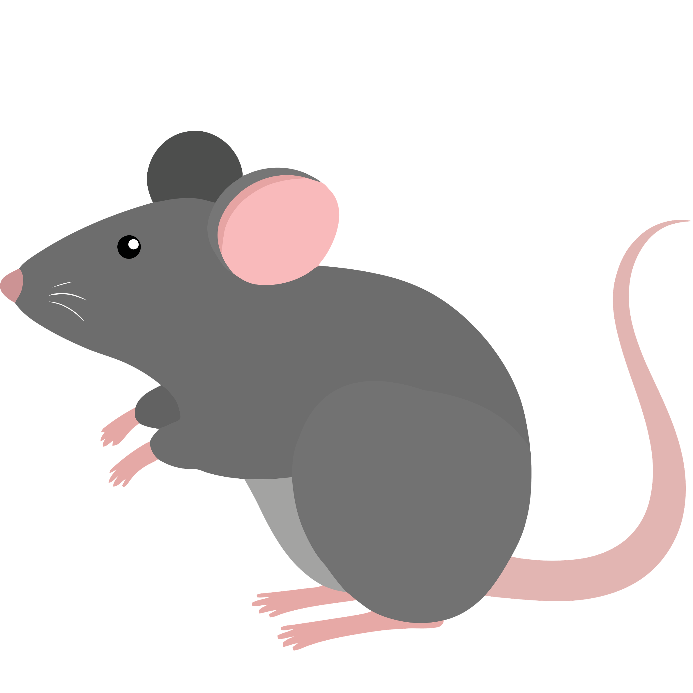 mouse