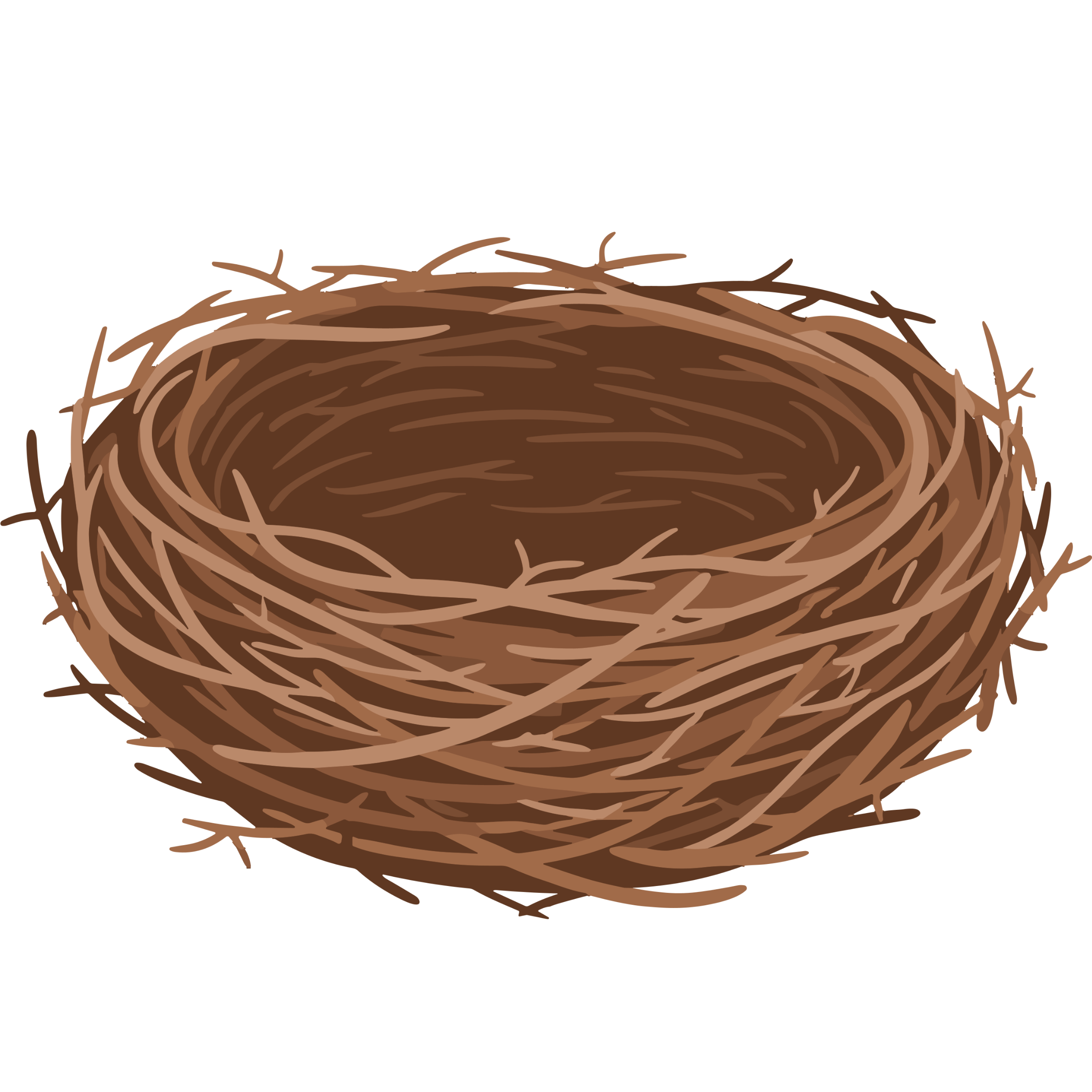 nest