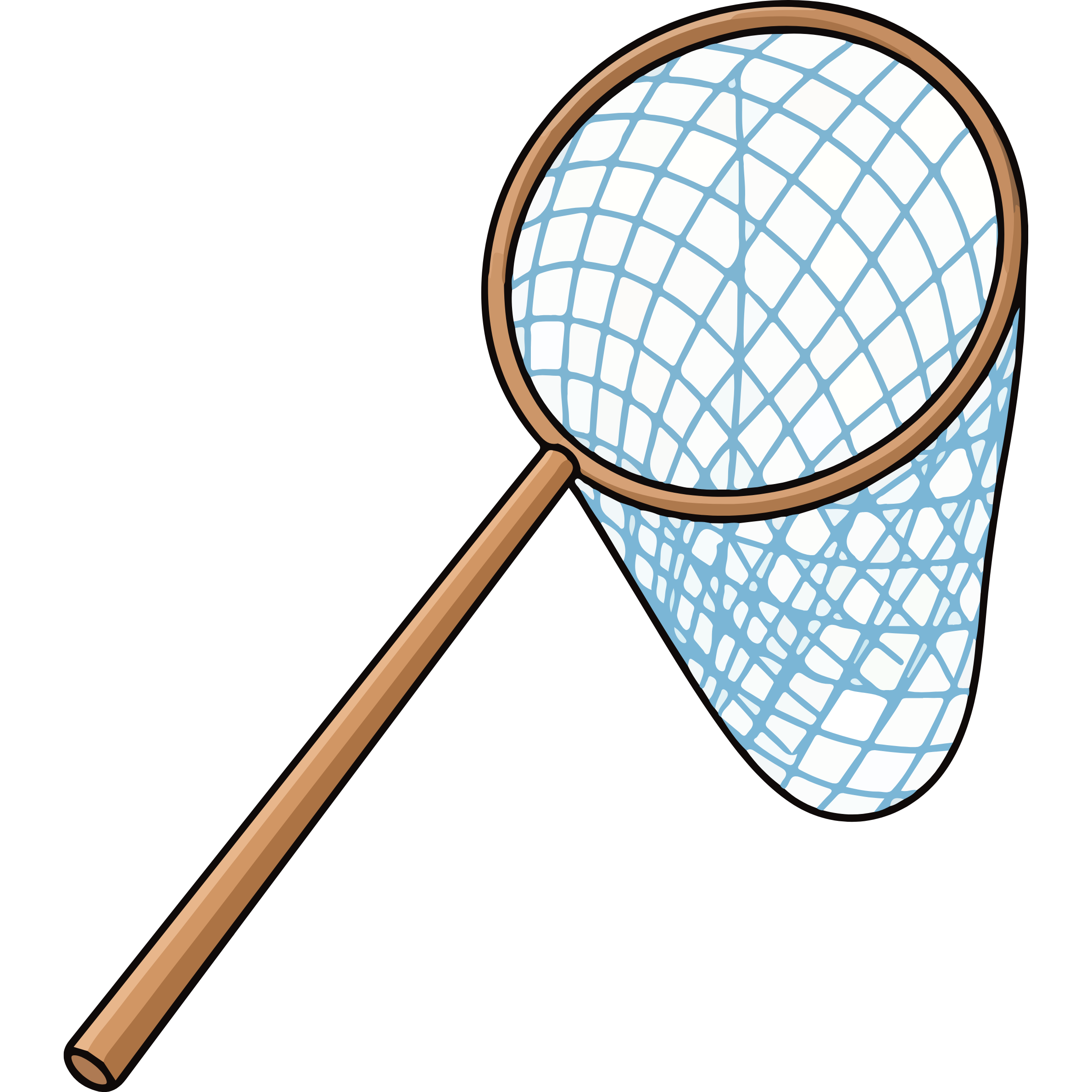 net