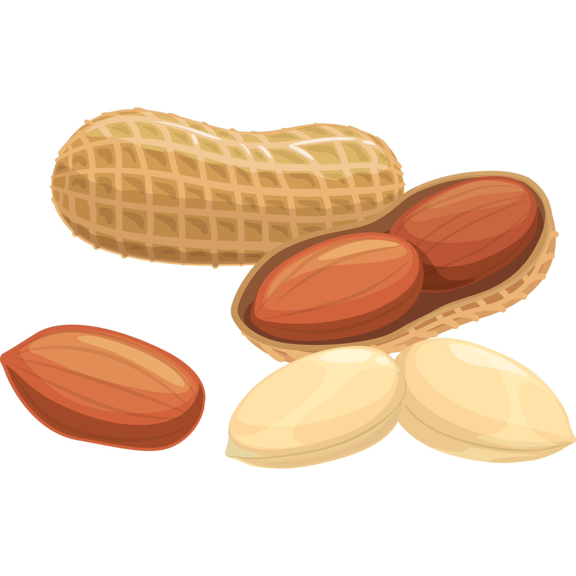 nut