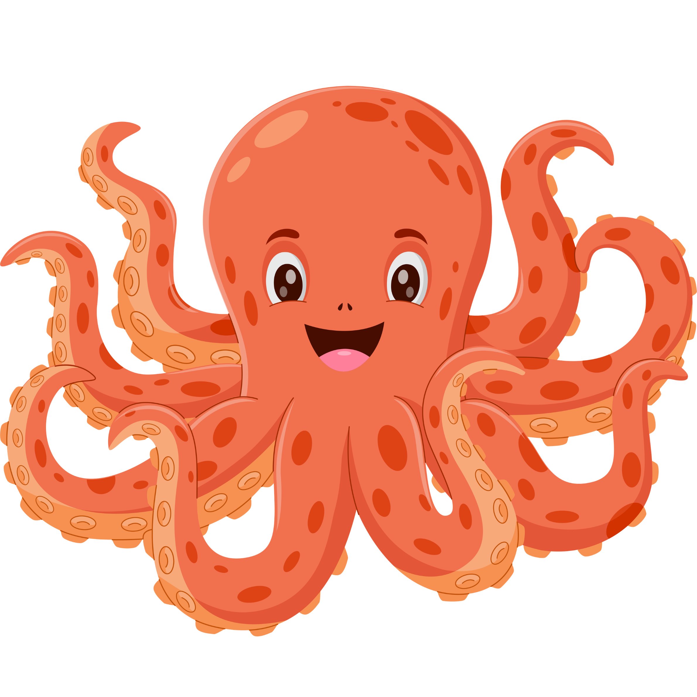 octopus