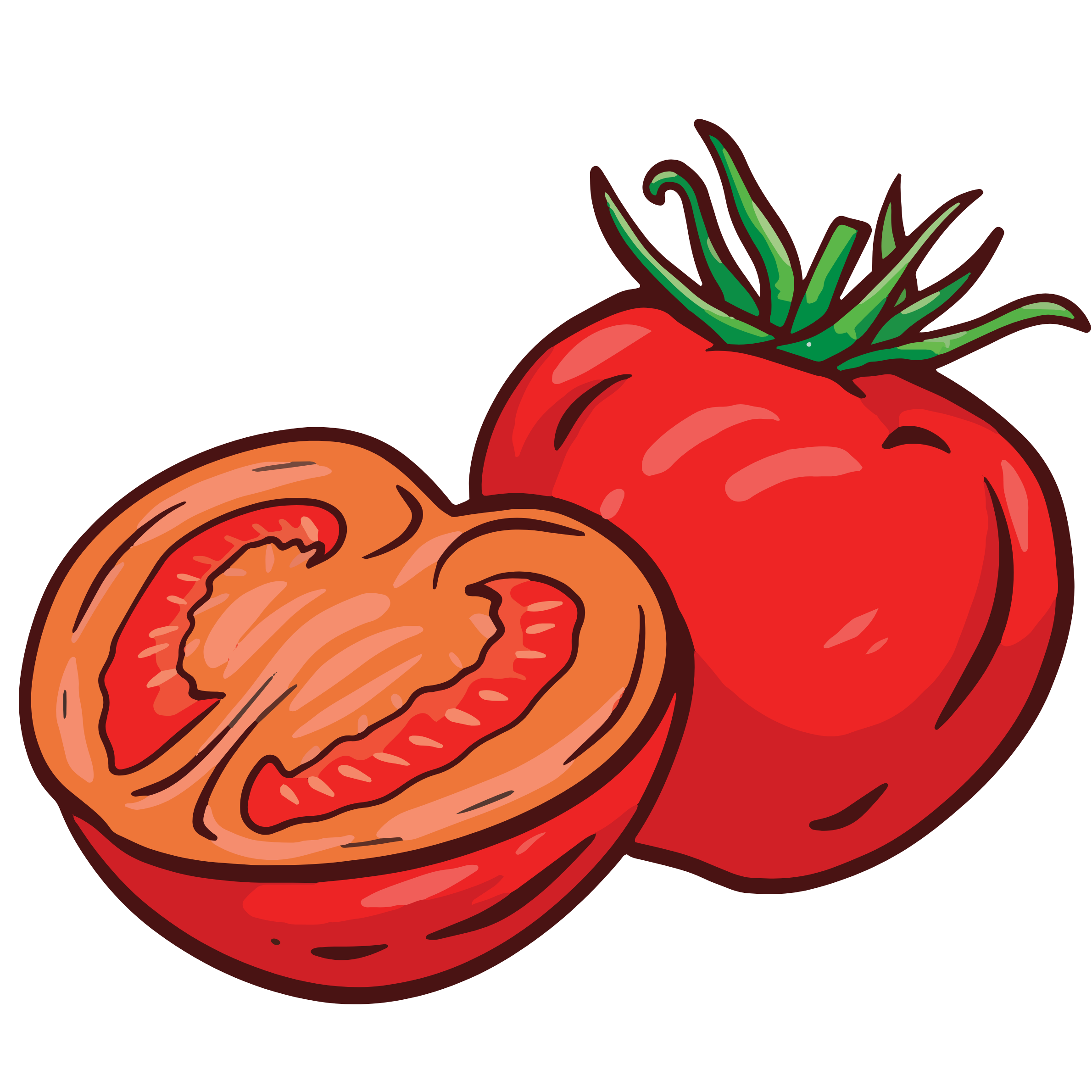 tomato