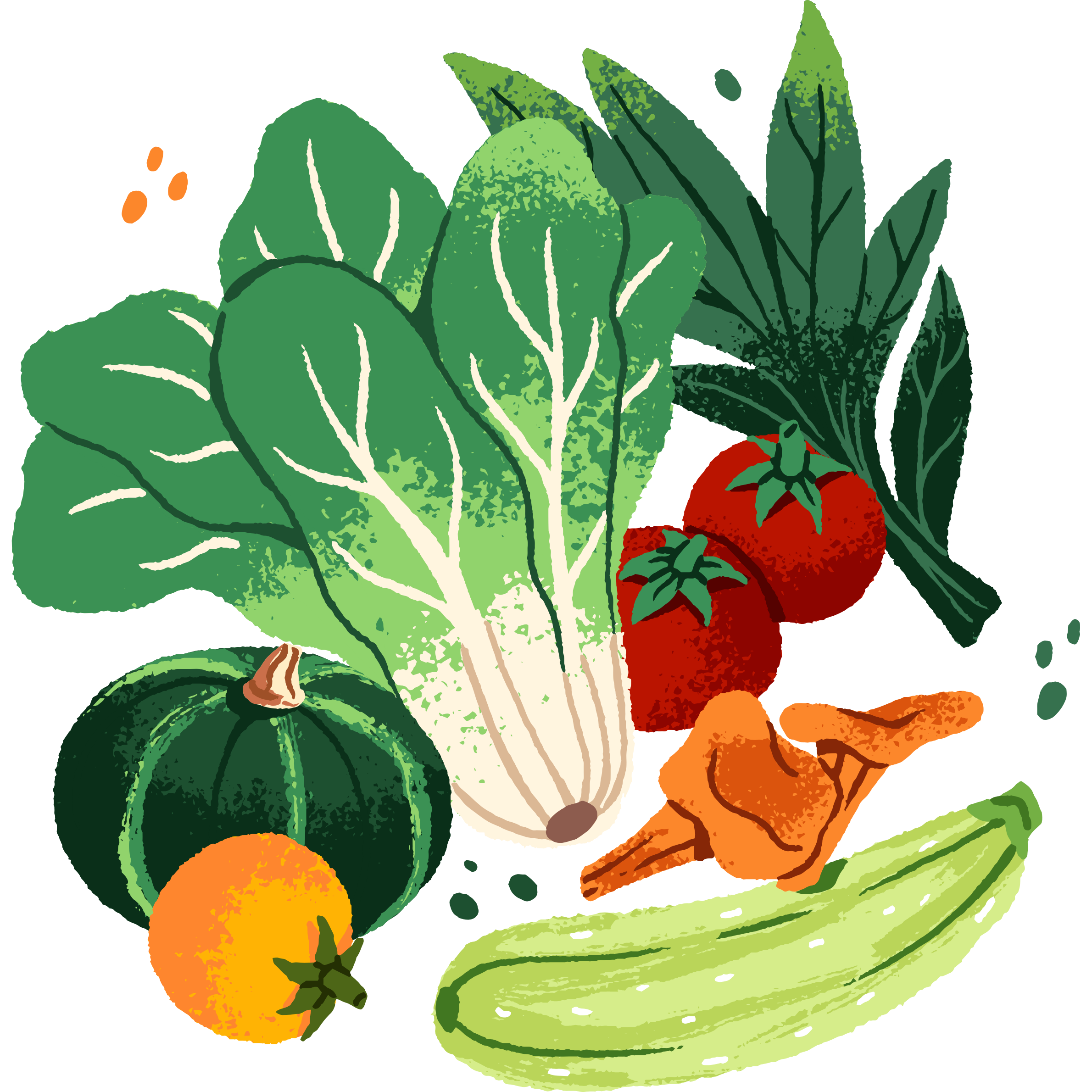 vegetable