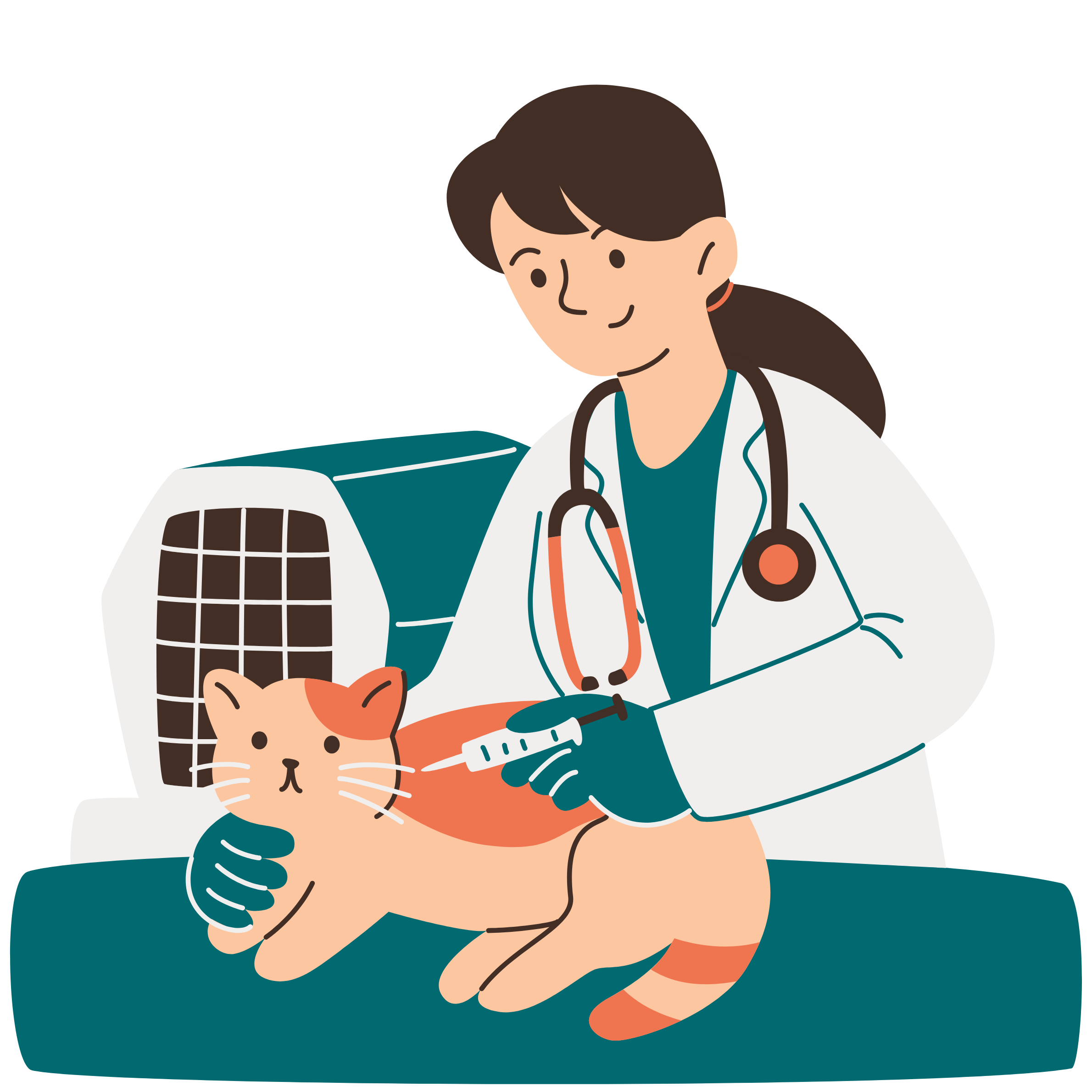 vet