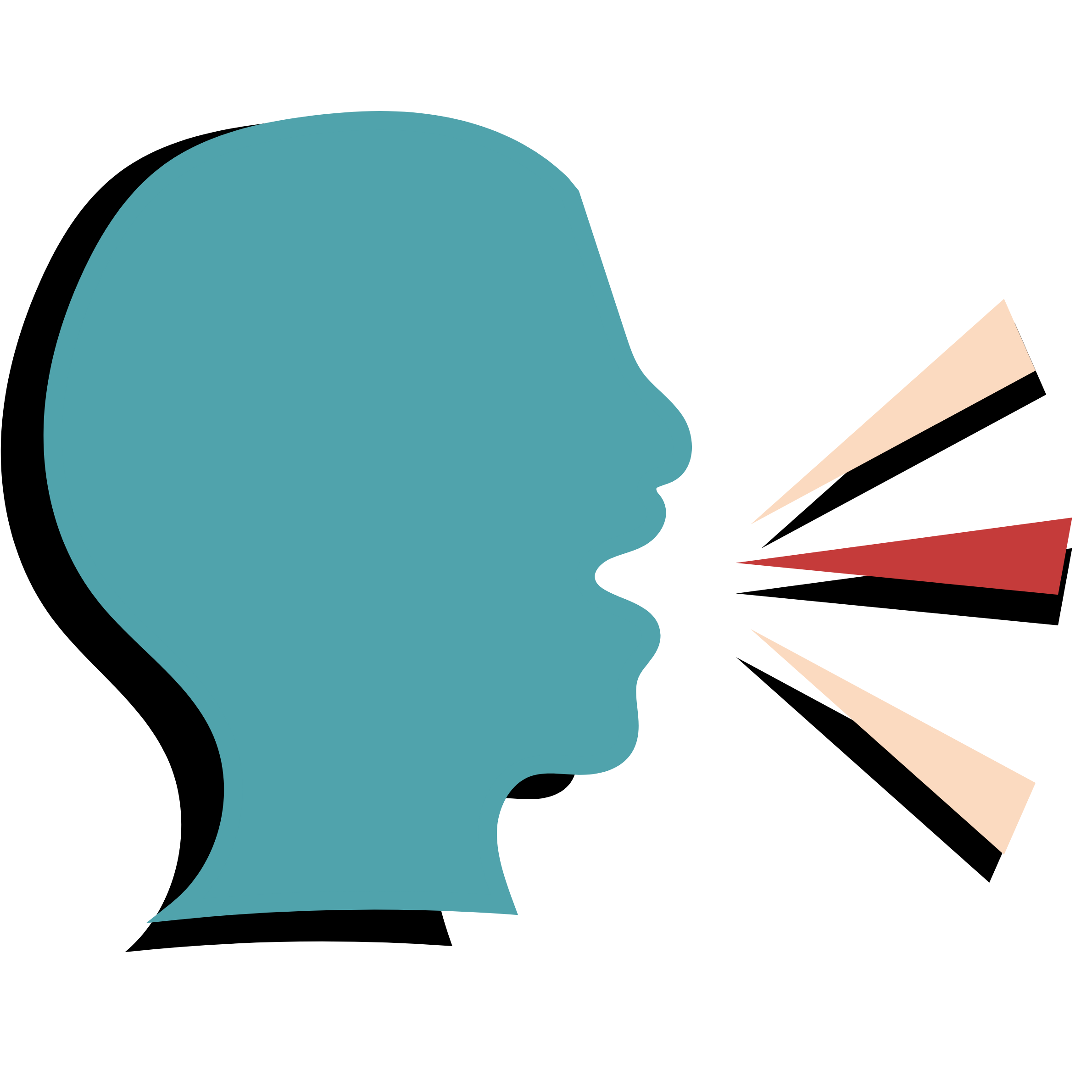 voice