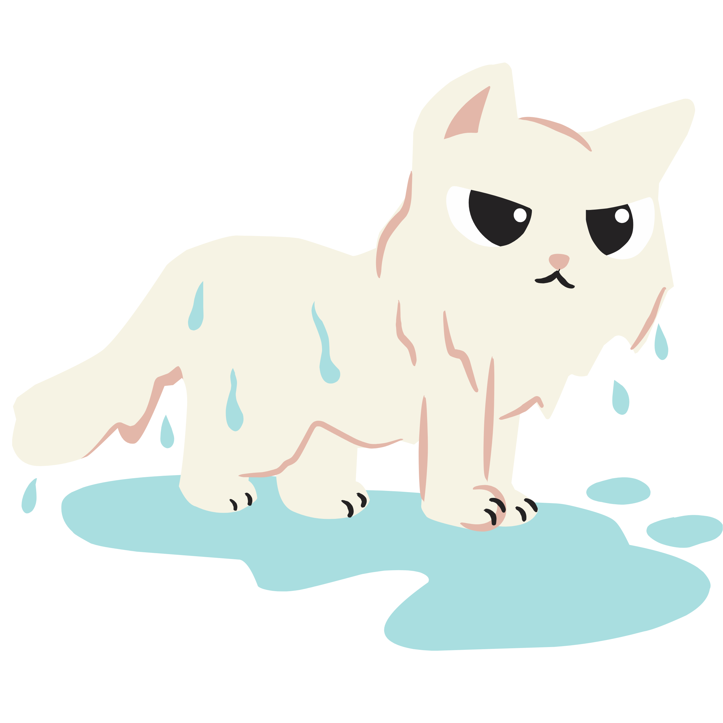 wet