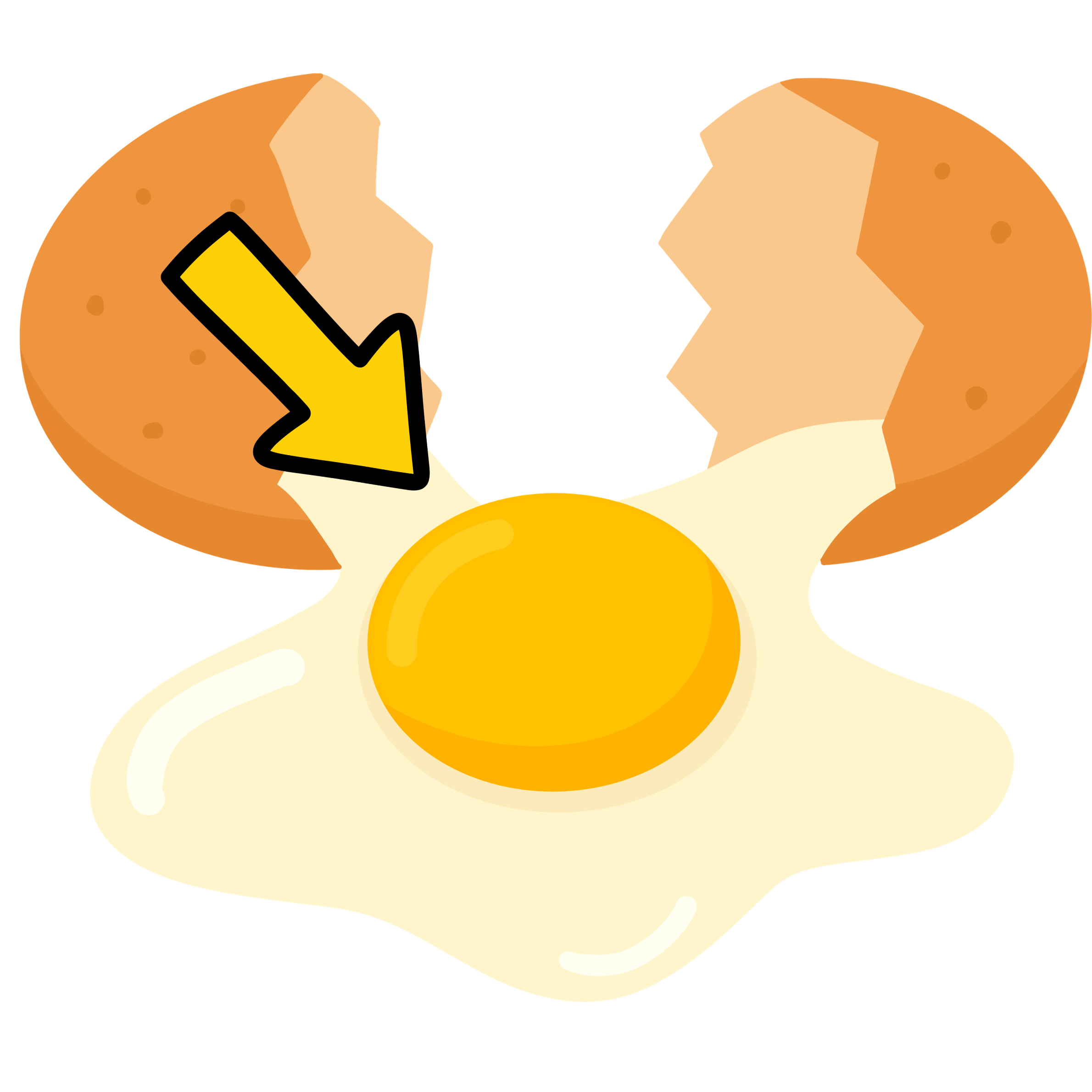yolk