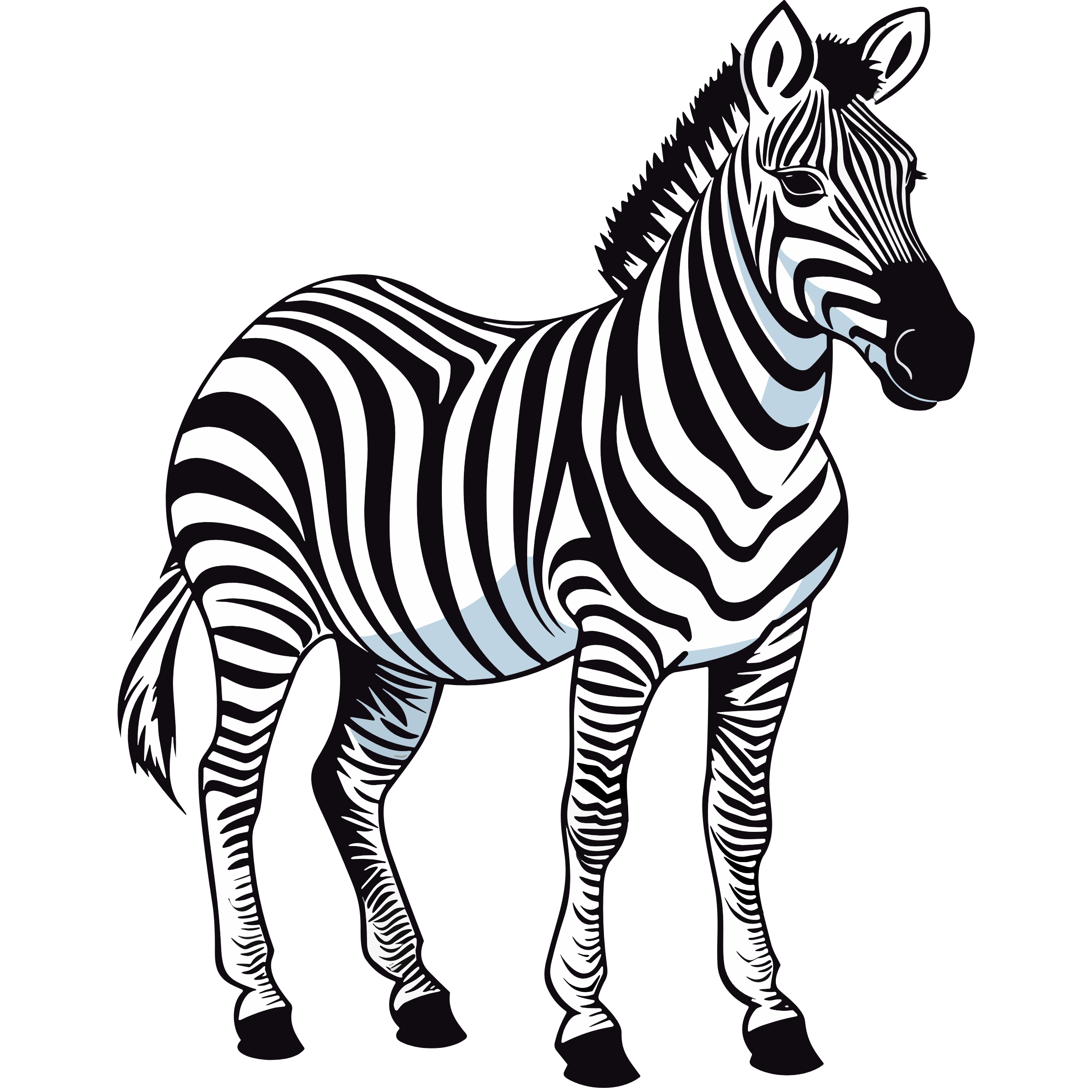 zebra