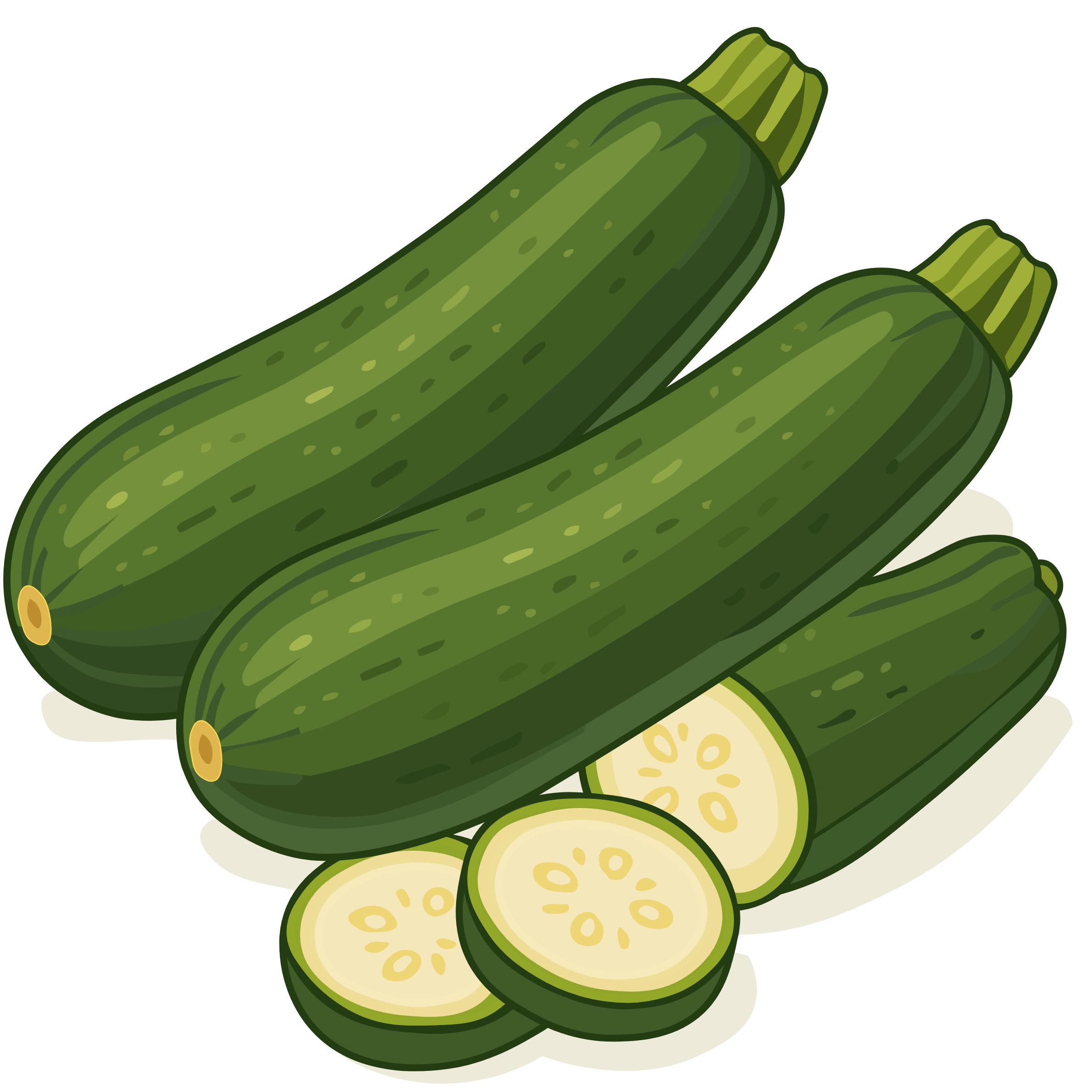 zucchini